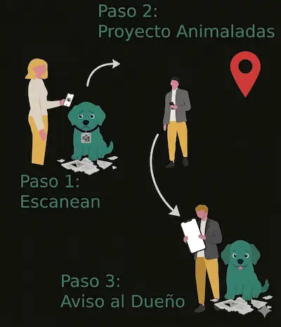 Ilustración Privacidad Blindada