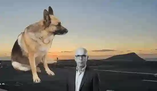 Tito, creador de Proyecto Animaladas